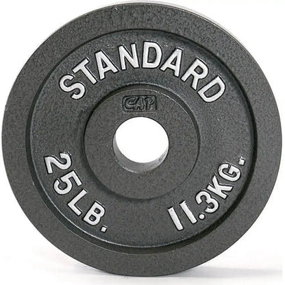 Barbell Gray  Cast Iron Weight Plate, 25 lb