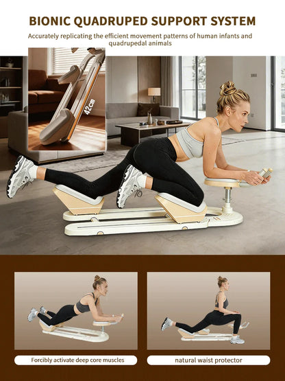 Back Stretch Trainer for Full‑Body Core Workouts