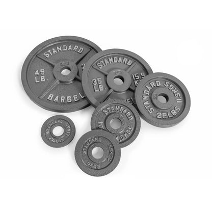 Barbell Gray  Cast Iron Weight Plate, 25 lb